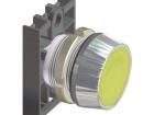 NEK22M-KG Pushbutton Switches