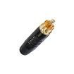 RF2C-B-0-D  Connectors