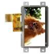NHD-4.3-480272MB-ATXL-T TFT Displays & Accessories