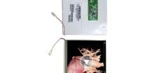 NHD-7.0-800480WF-ATXI-T TFT Displays & Accessories