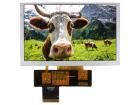 NHD-5.0-800480AF-ASXP electronic component of Newhaven Display