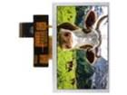 NHD-5.0-800480AF-ASXP TFT Displays & Accessories