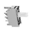 FS22AAP-RO Slide Switches