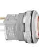 LB15WGG01-6B-JB Pushbutton Switches