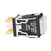 LB25SKG01-5C12-JB Pushbutton Switches