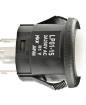 LP0115CMKW015DB Pushbutton Switches