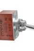 S21A Toggle Switches
