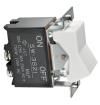 SW3821 Rocker Switches