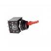 TL22DCAW015C Toggle Switches