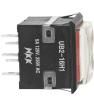 UB216KKW015C-1JC Pushbutton Switches