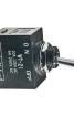 WT21S Toggle Switches