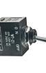 WT21S-RO Toggle Switches