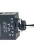 WT29S Toggle Switches
