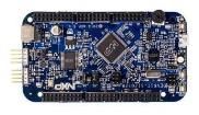 DEVKIT-S12G128  Embedded Solutions