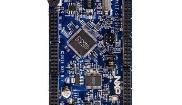 DEVKIT-S12G128 Development Boards & Kits - S08/S12