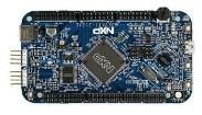 DEVKIT-S12XE  Embedded Solutions