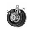 RNS100E  Passive Components