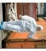 OL DISP SUIT XL Unclassified