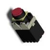 A165-TRM-2S Pushbutton Switches