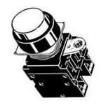 A22LTG24A10M Pushbutton Switches