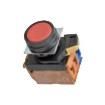 A22NN-BNM-NBA-G100-NN Pushbutton Switches