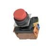 A22NNBPMNRAG100NN Pushbutton Switches