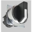 A22NZ-2RM-NBA  Electromechanical