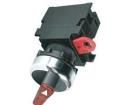 A22RW-2AY-24A-10 Rotary Switches