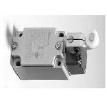 D4B-4116N-NPT Limit Switches