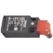 D4NH2FAS Basic / Snap Action Switches