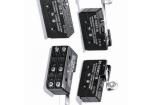 DZ-10GW2-1B Basic / Snap Action Switches
