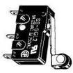 SS-1GL2-E-4 Basic / Snap Action Switches