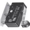 SS-1GL2T-4 Basic / Snap Action Switches