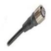 XS2FM12PVC3S10M  Wire & Cable