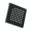 AR0135CS2C00SUEA0-DPBR1 Image Sensors