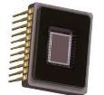 KAI-0340-FBA-CB-AA-SINGLE Image Sensors
