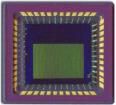 NOIL1SM0300A-QDC  Sensors