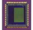 NOIL1SM0300A-QDC Image Sensors
