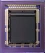NOIL1SN3000A-GDC  Sensors