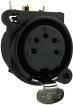 IO-XLR5-F-EH  Connectors