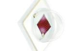 GA CS8PM1.23-KTLP-W3 High Power LEDs - Single Colour