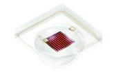 GH CSSPM1.24-4T2U-1-0  Optoelectronics