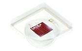 GFCSSPM1.24-4S2T-1  Optoelectronics
