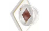 GH CS8PM1.24-4T2U-1-0-350-R33 High Power LEDs - Single Colour