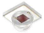 GR CS8PM1.23-JTKP-1  Optoelectronics