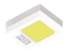 KW CELNM3.TK-S4S9-4L07M0-2686  Optoelectronics