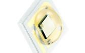 LD CQDP-2U3U-W5-1 High Power LEDs - Single Colour