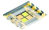LE CWUW S2W-LZMX-CHCL+NXNY-UW Optoelectronics