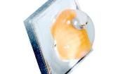 LUW CQAR-NPNR-JPJR-1 High Power LEDs - White