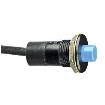 P3-90031 Pushbutton Switches